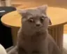 Yberion's Avatar